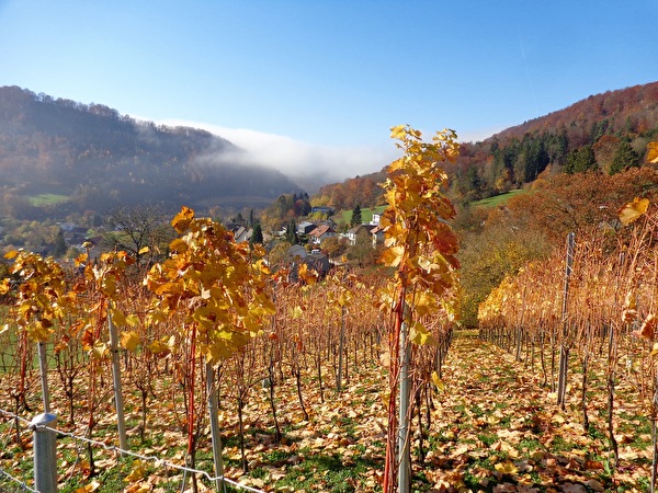 Herbstbilder