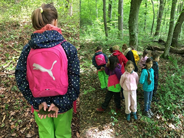 Waldtag mit den der Schule Grellingen