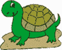 Schildkröte