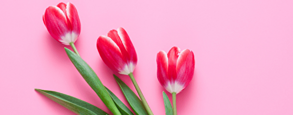 Feiertage Frühling