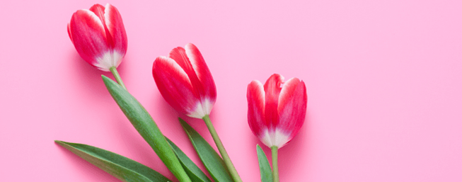 Feiertage Frühling