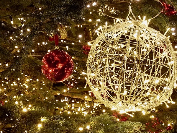 Weihnachtsbaum 2020