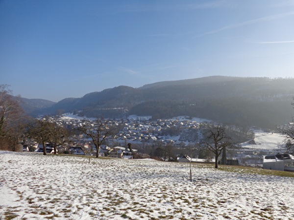 Winterbild