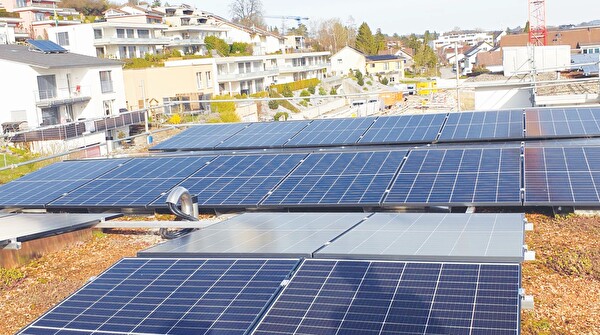 Mit einem virtuellen Zusammenschluss zum Eigenverbrauch (ZEV) des Solarstroms dürfen Liegenschaften, die über einen gemeinsamen Anschlusspunkt zum Versorgungsnetz verfügen, seit diesem Jahr die bestehenden Stromleitungen zur Stromverteilung innerhalb des ZEV nutzen.