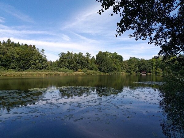 Biessenhofer Weiher