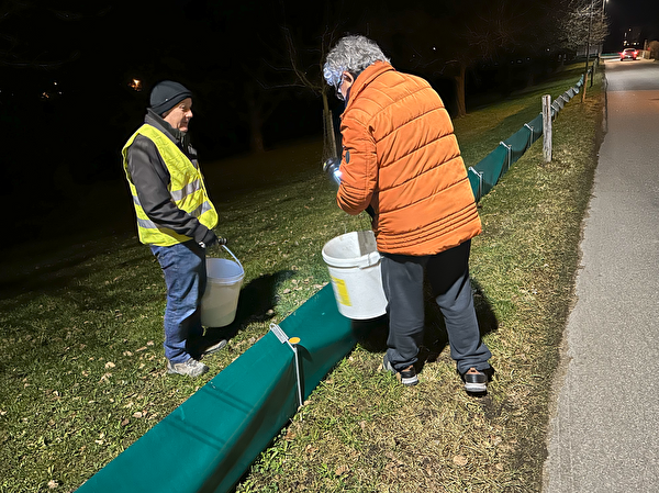 In unzähligen freiwillig geleisteten Stunden wird den Amphibien über die Strasse geholfen.