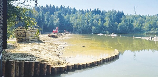 Der Damm des Biessenhofer Weihers wurde erfolgreich saniert. Er bietet nun besseren Schutz vor Hochwasser. Auch die Biodiversität profitiert davon.
