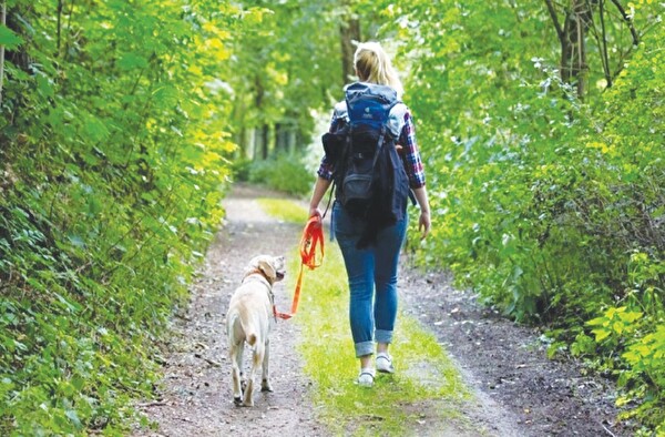 Vom 1. April bis 31. Juli gilt im Kanton Thurgau in allen Wäldern und am Waldrand Leinenpflicht.