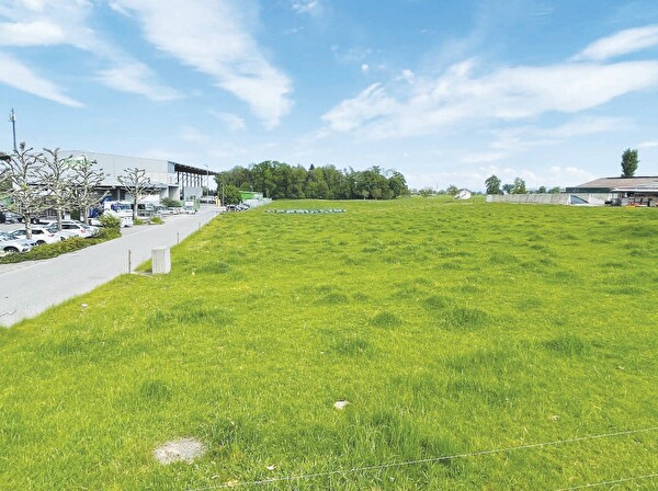 Das Bauland im Industriegebiet Buchenhölzli soll für mindestens 400 Franken pro m2 verkauft werden.