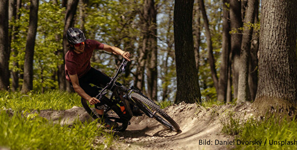 Bild Mountainbike-Trails