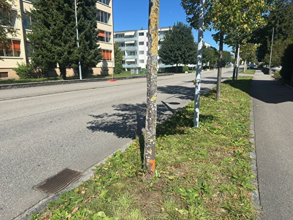 Bild Aarburg Rabatte