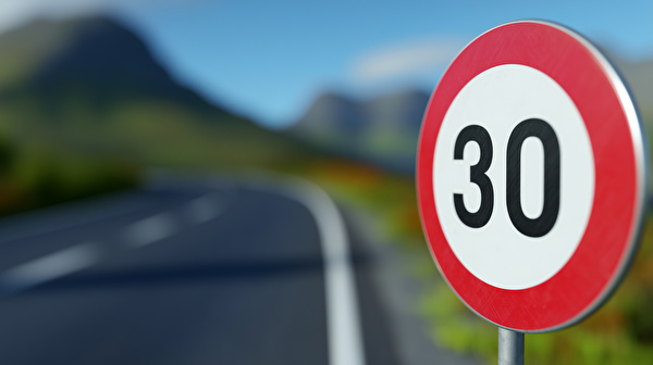 Bild Signalisation Tempo 30