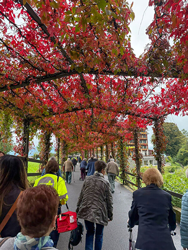 Bild Seniorenausfahrt Aarburg 2025