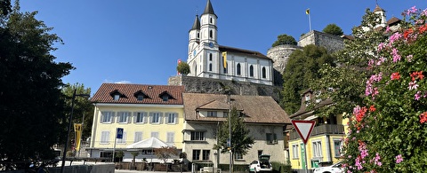 Bild Aarburg