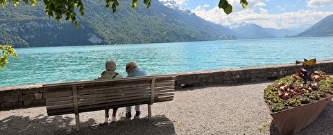 Bild Brienzersee