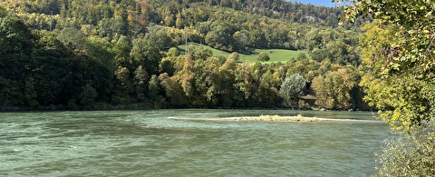 Bild Aarburg