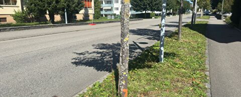 Bild Aarburg Rabatte
