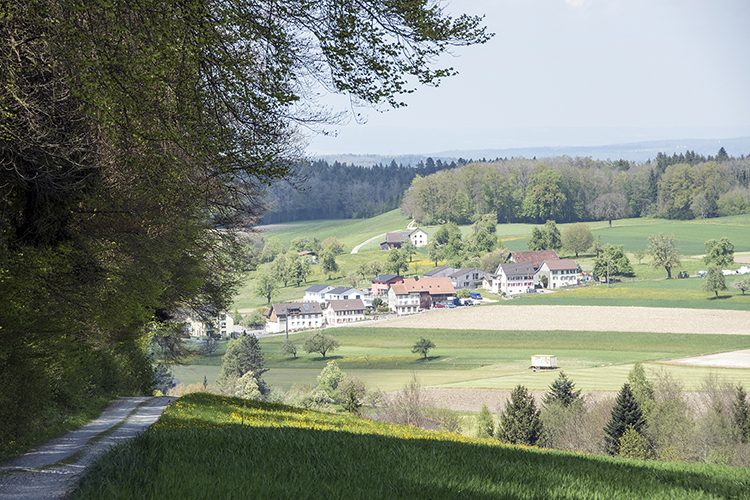 Dorf 1