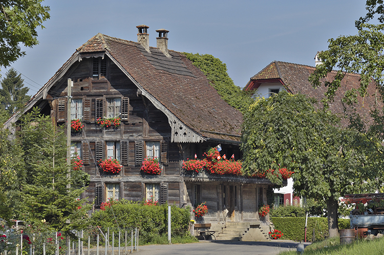 Haus