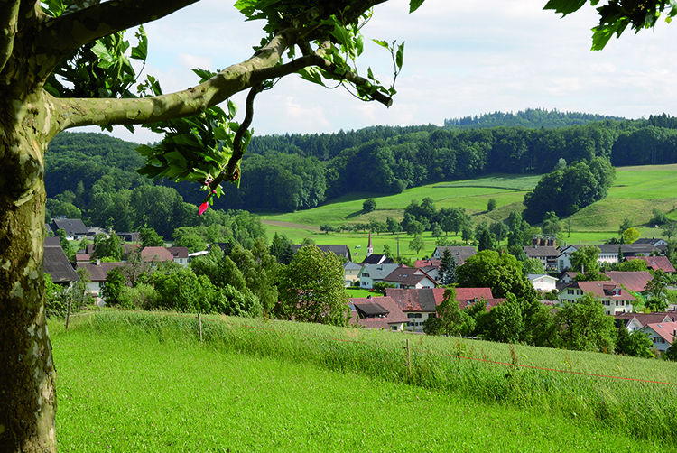 Dorf 2