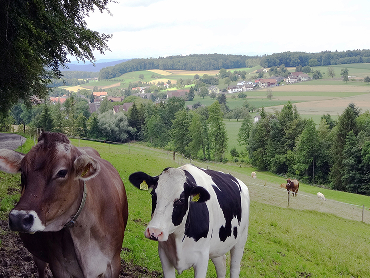 Landschaft
