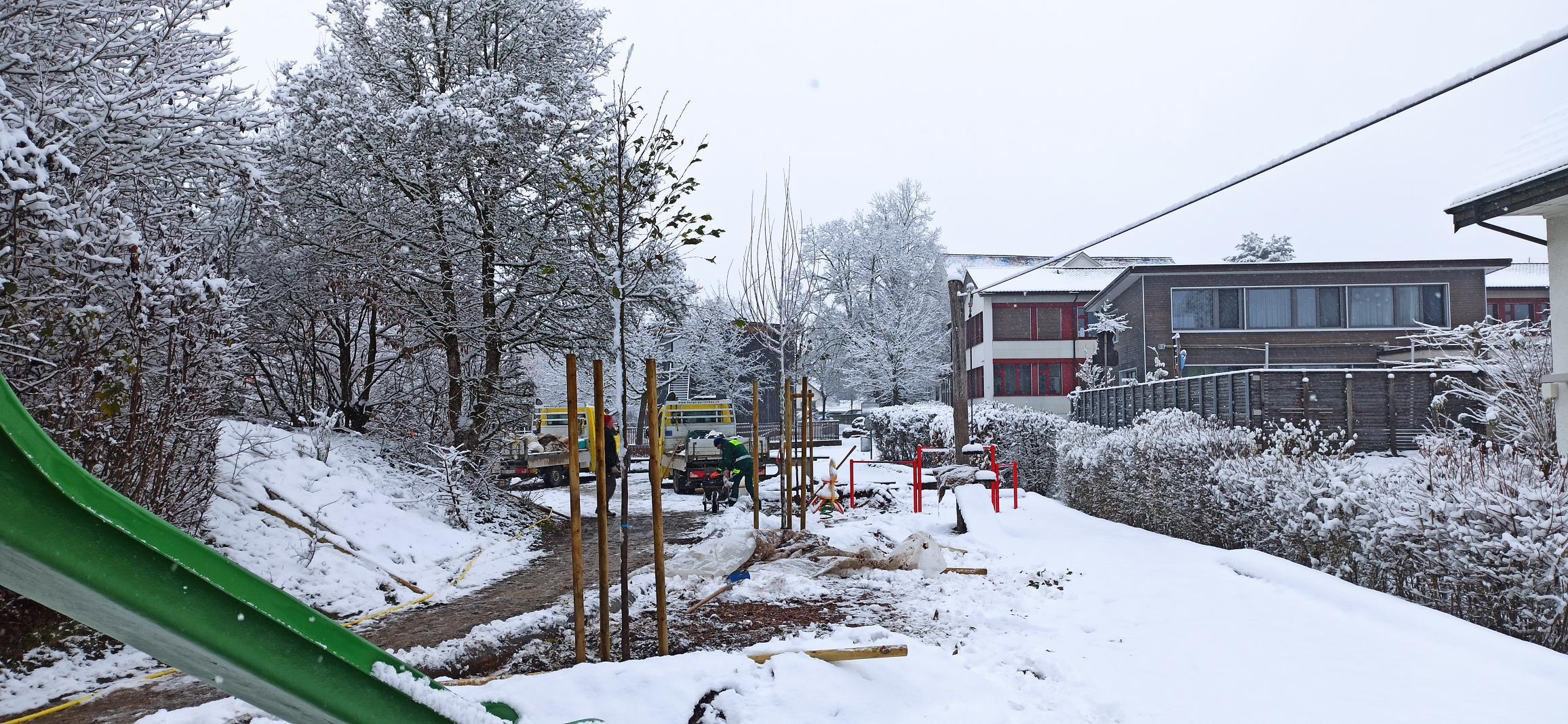 noch mehr Bäume