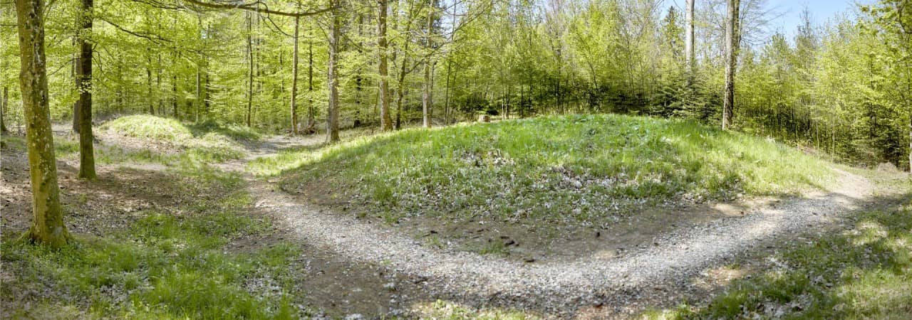 Grabhügel nach der Sanierung