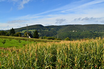 Landwirtschaft