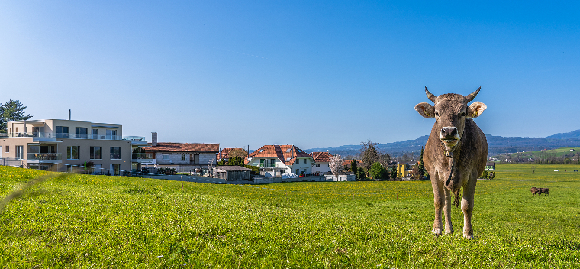 Gemeinde Galgenen