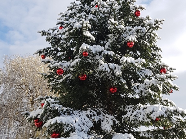 Weihnachtsbaum mit Schnee