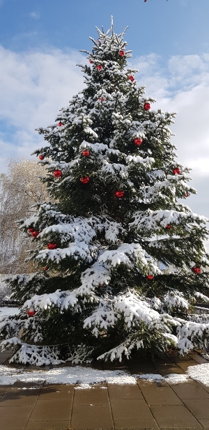 geschmückter Weihnachtsbaum