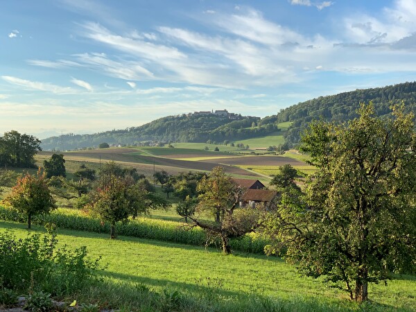 Blick Büelstrasse auf Regensberg