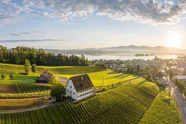 Rebbaugebiet von oben