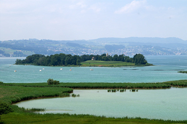 See, Schilf, Naturschutzgebiet