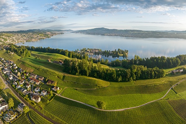 Rebbaugebiet von oben