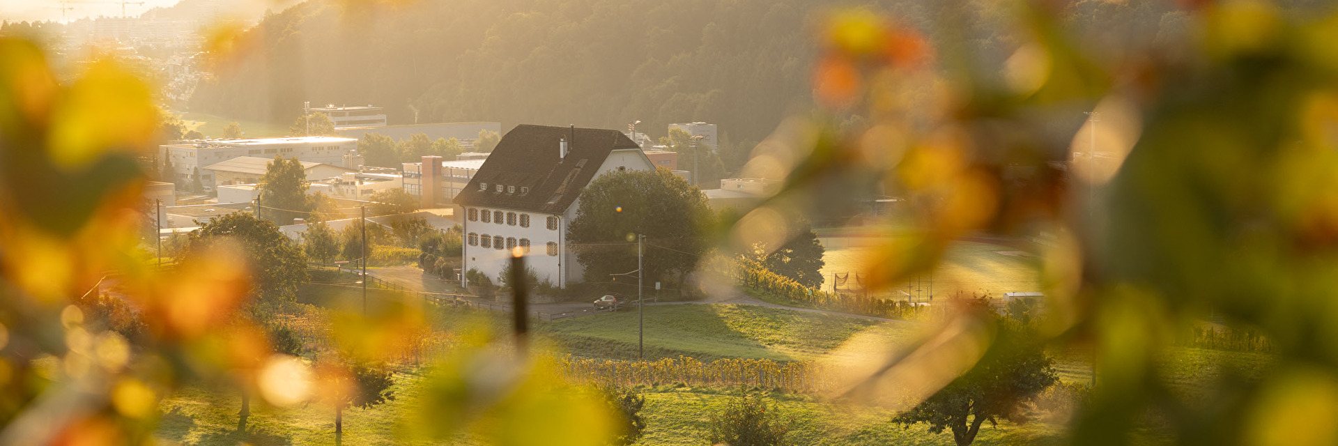 Leutschenhaus im Herbst