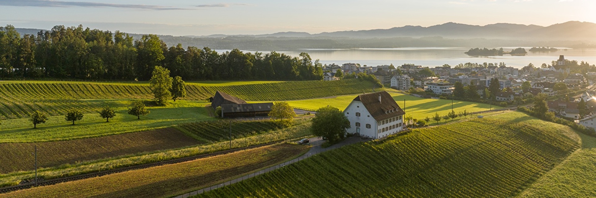 Rebbaugebiet von oben