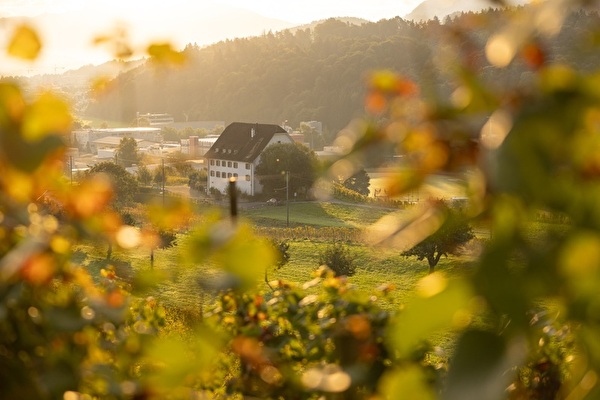 Leutschenhaus im Herbst