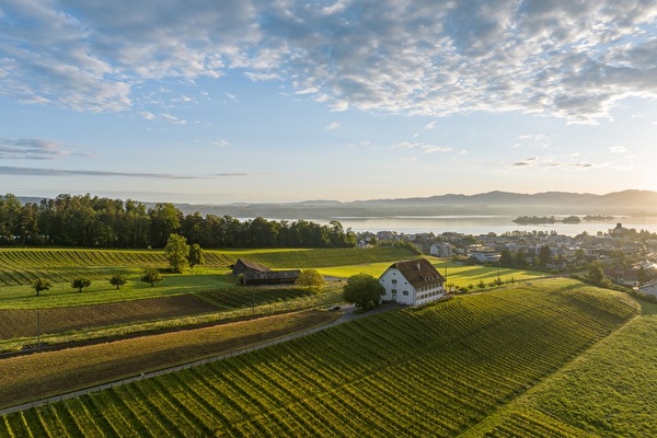 Rebbaugebiet von oben