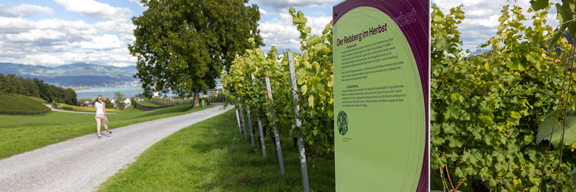 Infotafel an Erlebnisweg