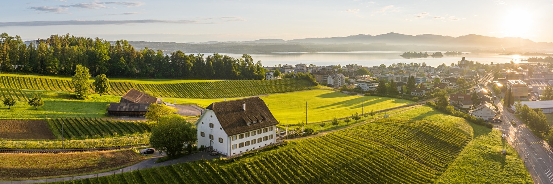 Rebbaugebiet von oben