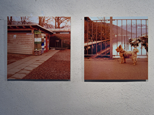 Vernissage: 