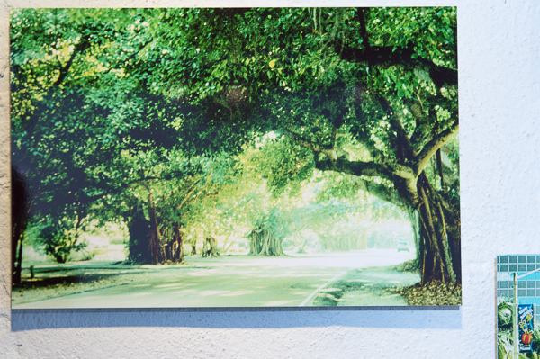 Vernissage: "attraversiamo" von Dorothee Hauser