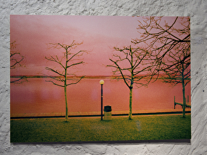 Vernissage: 