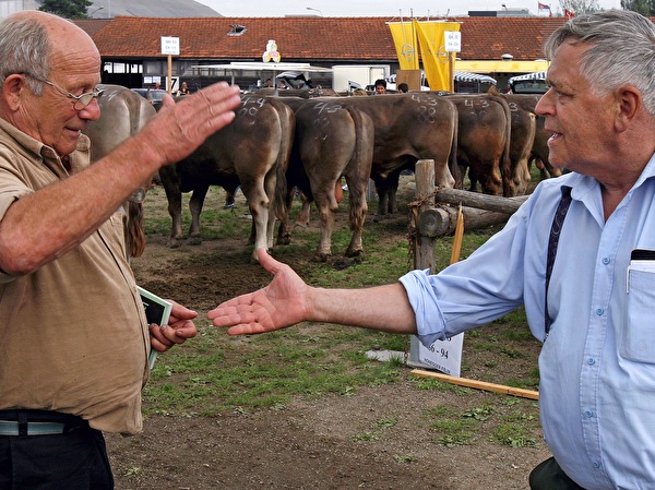 Handel am Stierenmarkt.