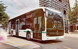 bus