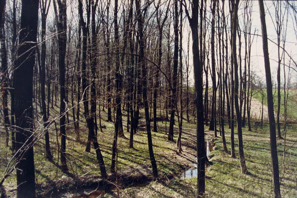 Suma u kojoj se moja porodica sastaje za praznike.
Ein Wald in dem sich meine Familie an diversen Feiertagen trifft.