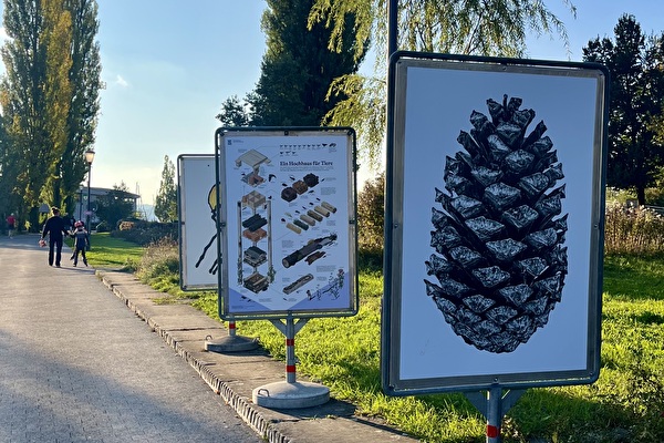 Plakatausstellung «Mensch & Natur» 