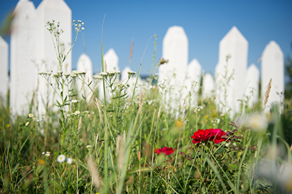 Massengräber in Srebrenica