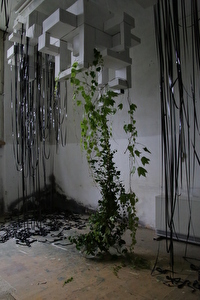 Ausstellung Biohpilia